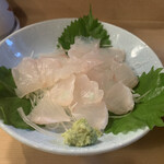 冨久栄鮨 - キジハタ