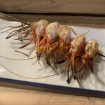 冨久栄鮨 - 縞エビの頭、塩焼き