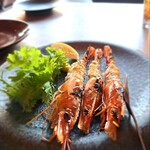 スミレオオサカ - 