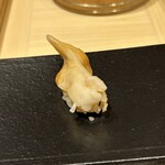 あま木 - イシカゲ貝