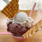 IL Gelato Hawaii - Gelato regular(2scoops) $7.75
            HAWAIIAN BANANA、DARK ACAI
            （約1240円 2024年5月時点）