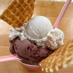 IL Gelato Hawaii - Gelato regular(2scoops) $7.75
            HAWAIIAN BANANA、DARK ACAI
            （約1240円 2024年5月時点）