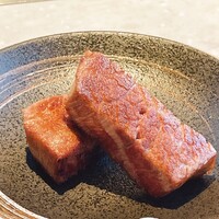 PONGA PREMIUM - 