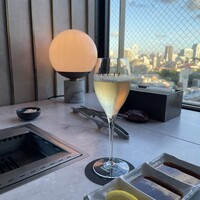 PONGA PREMIUM - 