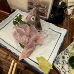 大衆居酒屋魚さんこ - 