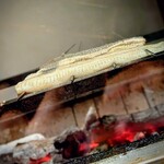 温石 - 目の前でどんどん膨らんでいく、うなぎが気になる