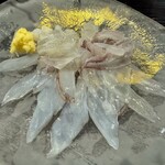 天然海水いけす海陽亭 - イカの活け造り今回は150gで¥3,795