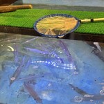 天然海水いけす海陽亭 - 内観