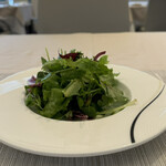 ベルヴェデーレ - 