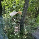 カフェアンドインテリア エル - 