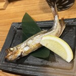 ご当地酒場 北海道八雲町 浜松町店 - 