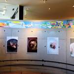 オトワ レストラン - 