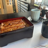 鰻割烹 伊豆栄 本店 -  鰻割烹 伊豆栄 本店 -