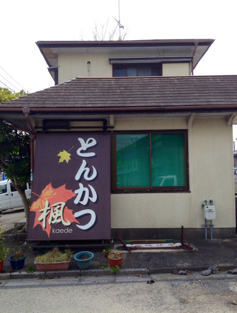 楓 新茂原 とんかつ 食べログ 楓 新茂原 とんかつ 食べログ