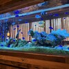 アクアリウムダイニング 新宿ライム