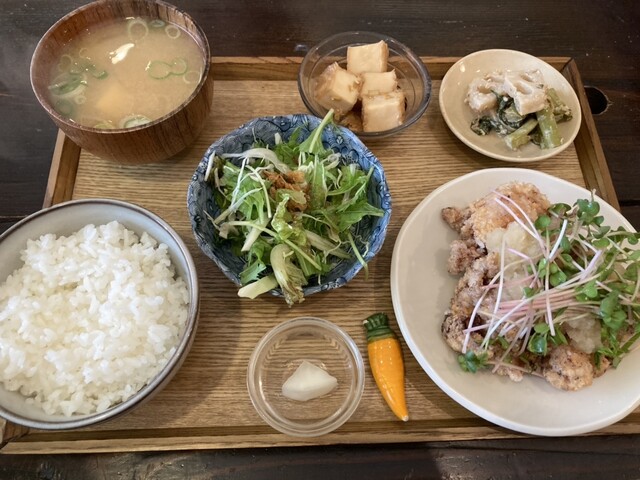 Choi Nomi Shokudo tutini