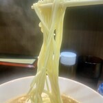 ヌードル＆スパイスカレー 今日の1番 - 麺　※ 究極の麺を追求した三河屋製麺の細麺！