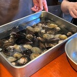 赤バル レッツェ - 