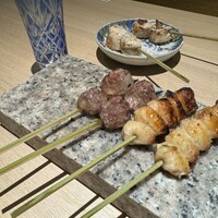 始祖鳥 - 