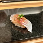 鮨と天草大王 天音 - 