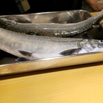 京極寿司 - 滞在中に入荷した琵琶鱒を見せてくれました！