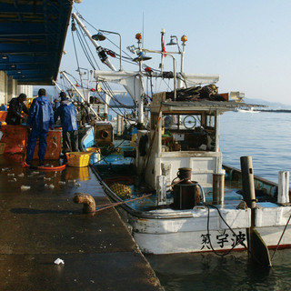 Directly purchased from Himi Port and Kanazawa Port! Enjoy real Sushi!