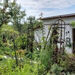 ラ・プロヴァンス - 