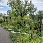 ラ・プロヴァンス - 