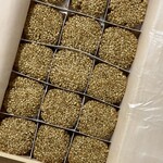 マエダセイカ 羽二重餅の古里 - 