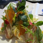 ラ ターブル ドゥ ジョエル・ロブション - 天使のエビのコンフィ　アンティーブのサラダと、葉野菜のコンビネーション