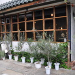 CLAMP COFFEE SARASA - 