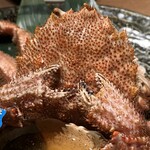 北海道の旬味 南3西4 うにとかにといくら - 