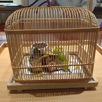 かねき - 鳥籠八寸