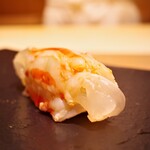 あま木 - 三河車海老はレア気味