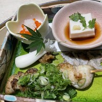 うなぎ 目白ぞろ芽 - 