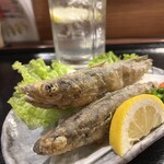 やどかり - 見た目に反して身はふわふわ