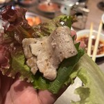 朝採れホルモンとたれ焼肉 金肉屋 - 