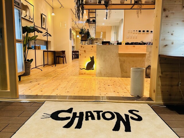 CHATONS（シャトン） - 仙北町（イタリアン）の写真