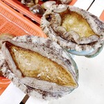 魚八本店 - 刺身になる前