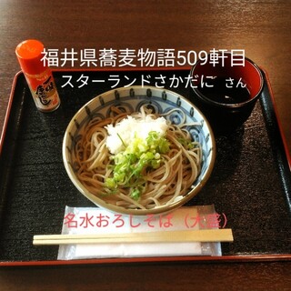 スターランドさかだに_1