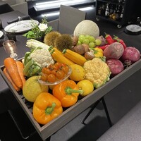 Élan - 
