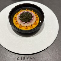 CIRPAS - 