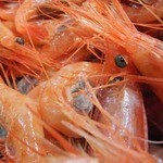 Recommended raw shrimp sashimi