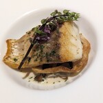 コンチネンタルルーム - 真鯛のポワレ