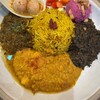 薬膳スパイスカレー＆グルテンフリーバルSpys Oasis