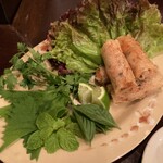 cafe & bar MÉLI-MÉLO - ベトナム風、揚げ春巻き　レタスとハーブ添え