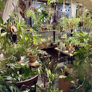 アンティークとリサイクル植物がたくさんある落ち着く空間です
