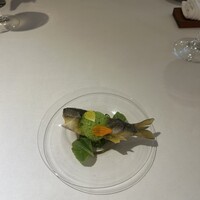 デルフィーナ - 