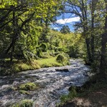 ハーベスト ナガイファーム - 爽やかな風が吹いてます♪