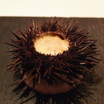 銀座 レカン - Mar, 2014